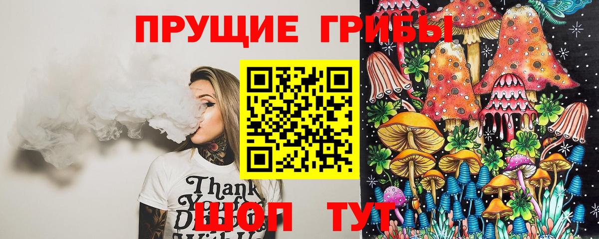 Псилоцибиновые грибы Psilocybe  Псилоцибиновые грибы GOLDEN TEACHER  Новокузнецк  где можно купить наркотик  Вход с VPN 