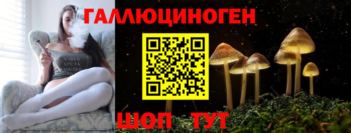 Псилоцибиновые грибы прущие грибы Новокузнецк